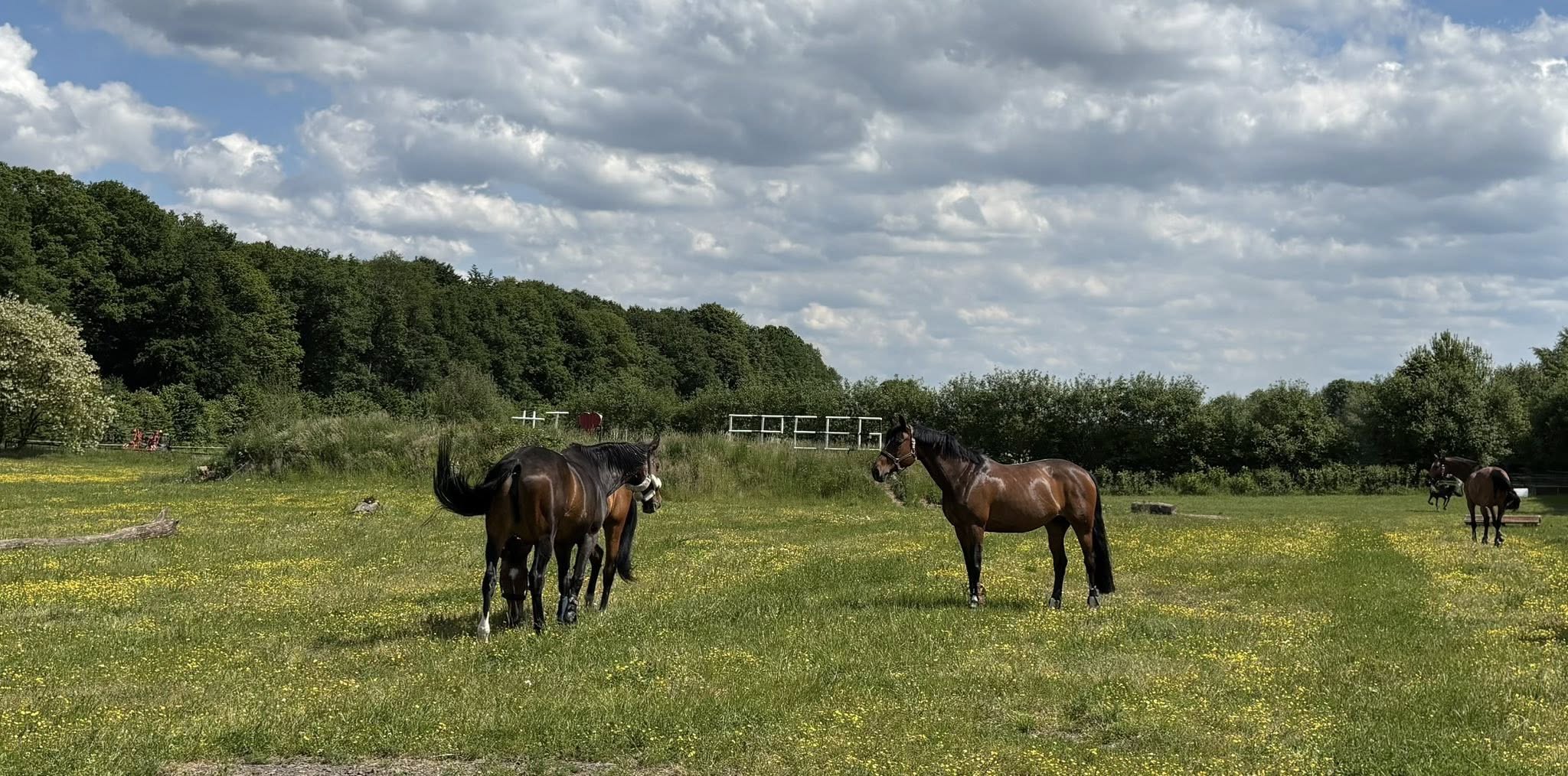Un écrin de verdure (16 ha)
