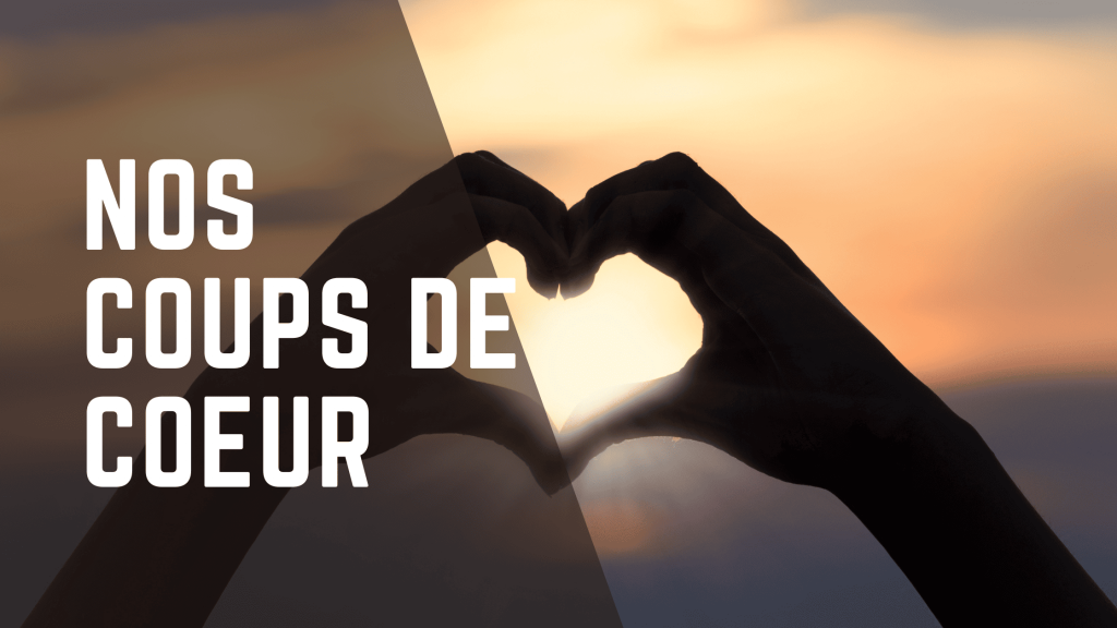 Nos coups de cœurs dans les anciens élèves de l'école d'équitation de Gesves et leur parcours professionnel