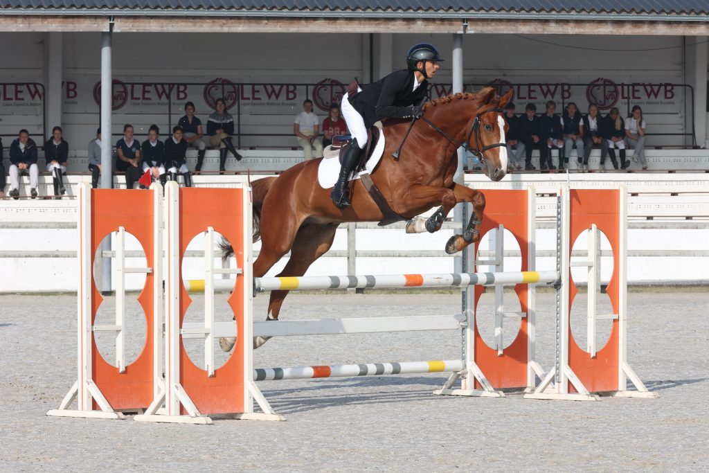 Cavalier saut d'obstacle au championnats de Belgique des jeunes chevaux